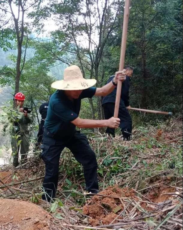 干好每一天|青山掛白我復(fù)綠，無私奉獻金森人——資源保護部義務(wù)突擊隊工作記實
