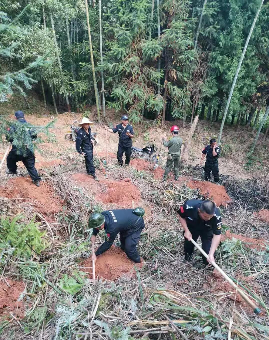 干好每一天|青山掛白我復(fù)綠，無私奉獻金森人——資源保護部義務(wù)突擊隊工作記實