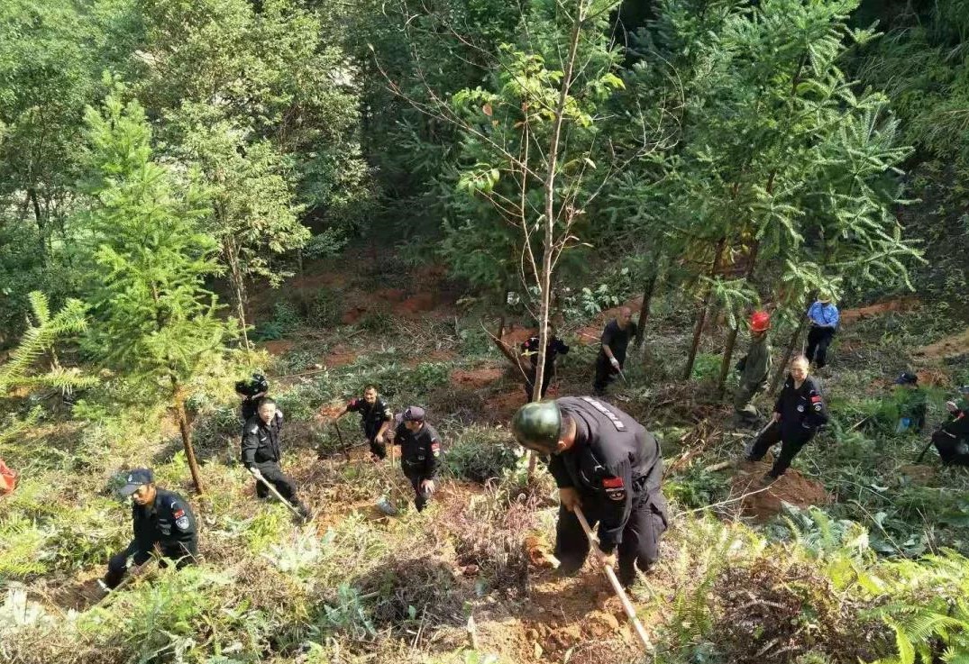 干好每一天|青山掛白我復(fù)綠，無私奉獻金森人——資源保護部義務(wù)突擊隊工作記實