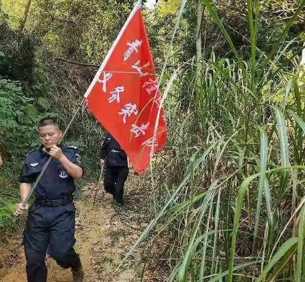 干好每一天|青山掛白我復(fù)綠，無私奉獻金森人——資源保護部義務(wù)突擊隊工作記實